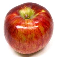 Cortland apple (Bar Lois Weeks)