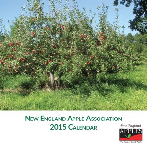 2015 New England Apples wall calendar