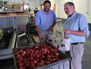 Massachusetts Commissioner of Agriculture John Lebeaux, right, and Assistant Commissioner Jason Wentworth grab some apples while touring the new packing line at J. P. Sullivan Co., in Ayer Thursday. (Russell Steven Powell photo)