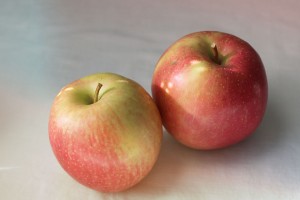 Spencer apples (Bar Lois Weeks photo)