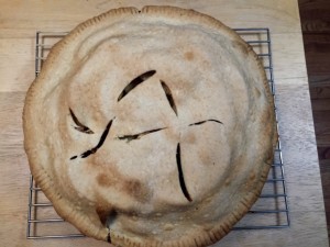 Jim Kreinbring's 2015 Thanksgiving apple pie