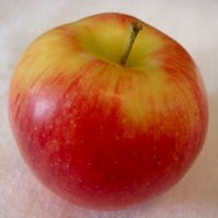 Jonagold apple (Bar Lois Weeks photo)
