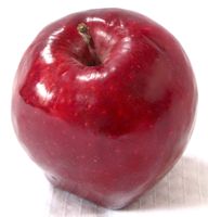Eastern Red Delicious apple (Bar Lois Weeks photo)