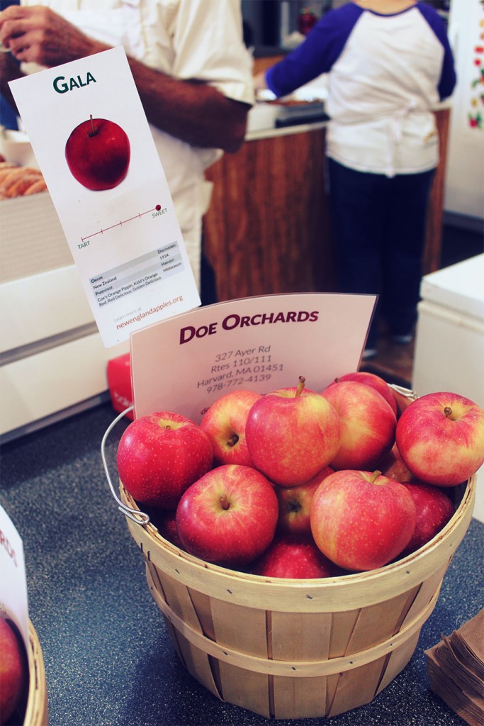 Gala from Doe Orchards, Harvard