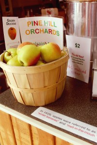 Golden Delicious from Pine Hill Orchards, Colrain