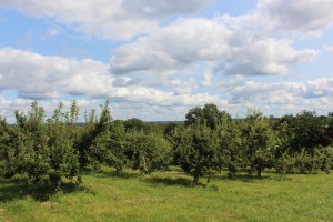 Brookfield Orchards, North Brookfield, Massachusetts (Russell Steven Powell photo)