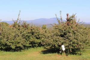 Gould Hill Orchards, Contoocook, New Hampshire (Russell Steven Powell photo)