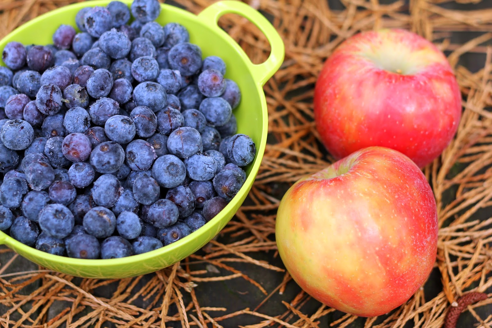 apples-and-blueberries-new-england-apples