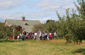 Apple lovers gather at Brookfield Orchards last September. (Russell Steven Powell)