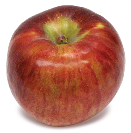 Cortland - New England Apples