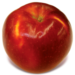 download the new for apple Crimson Dawn