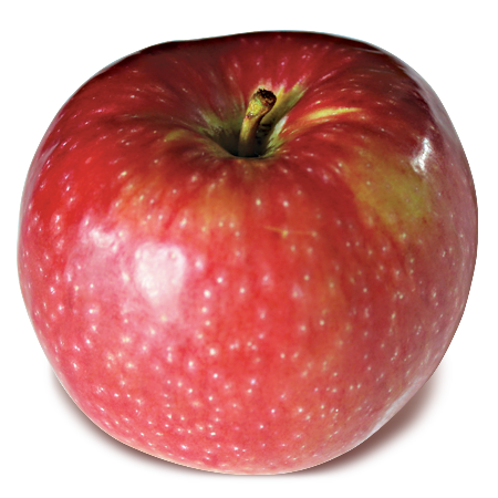 https://newenglandapples.org/wp-content/uploads/2019/03/early-mac.png