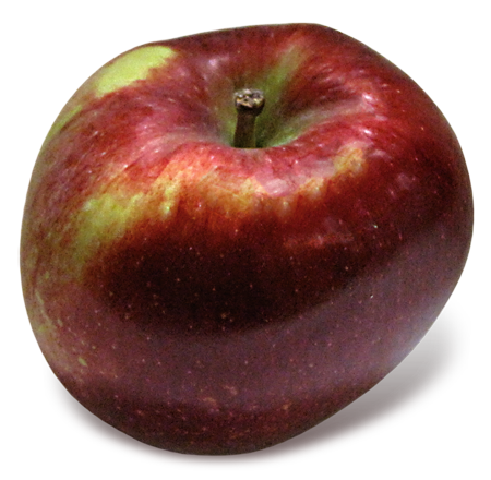 Fortune - New York Apple Association