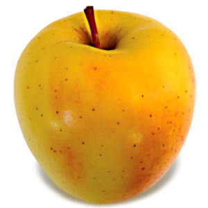 https://newenglandapples.org/wp-content/uploads/2019/03/golden_delicious-300x300.png