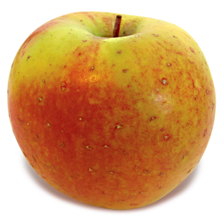 https://newenglandapples.org/wp-content/uploads/2019/03/goldrush.png