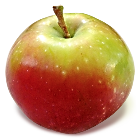 Jersey Mac - England Apples