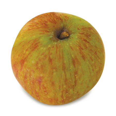 Lyscom - New England Apples