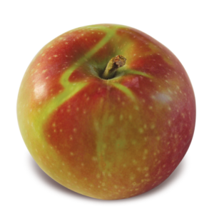 McIntosh - New England Apples
