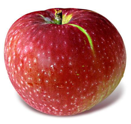 Paula Red - England Apples