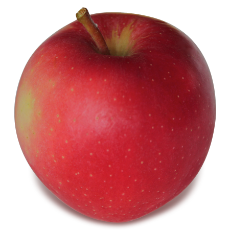 https://newenglandapples.org/wp-content/uploads/2019/03/royal-gala.png