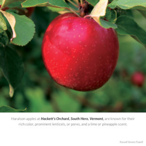 2022 New England Apples Calendar is Here! - New England Apples